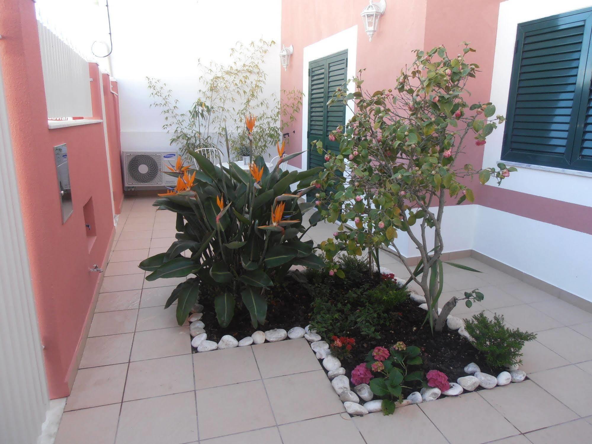 Casa Morgados - Grandola Guesthouse 외부 사진