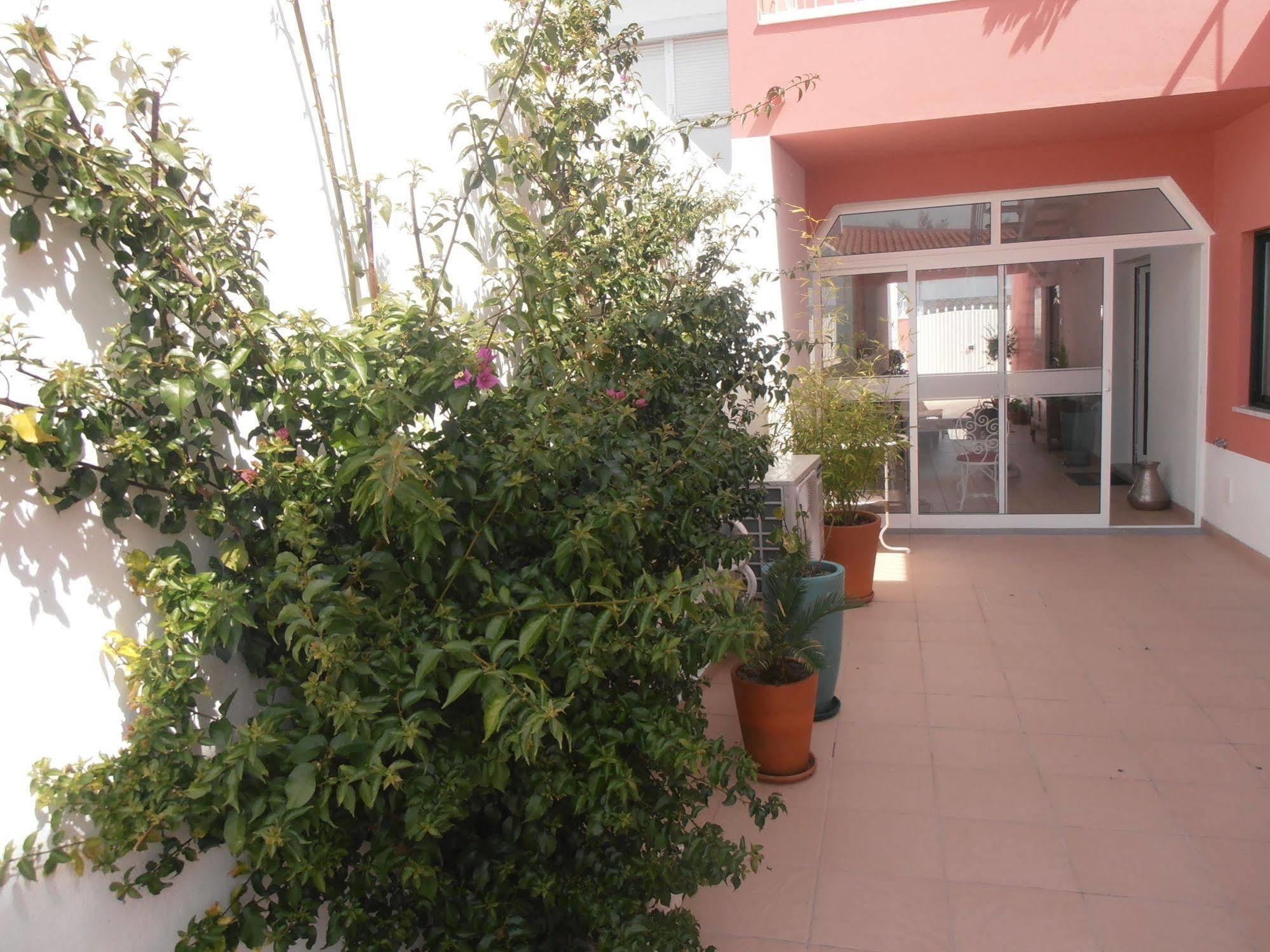 Casa Morgados - Grandola Guesthouse 외부 사진